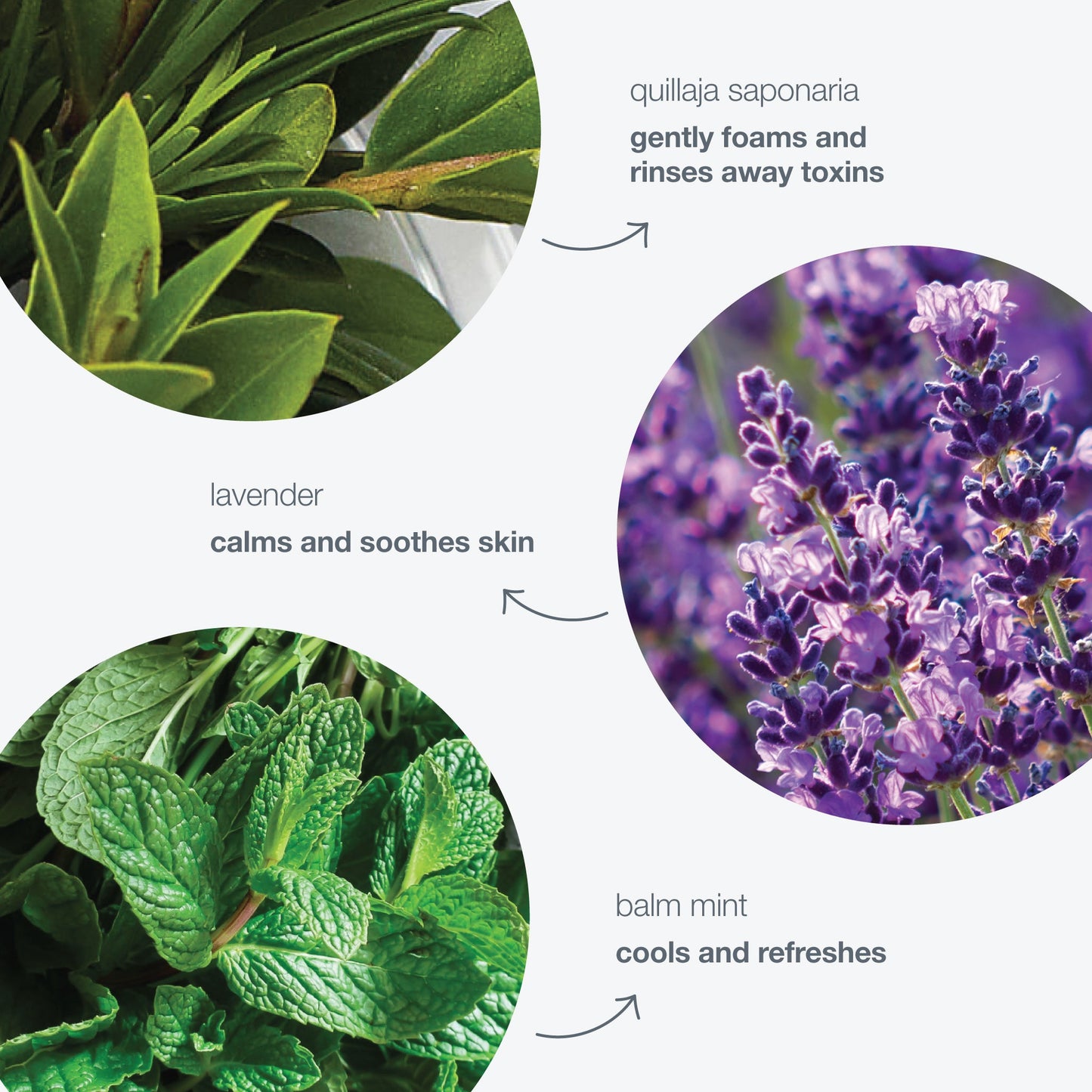 special cleansing gel ingredients 